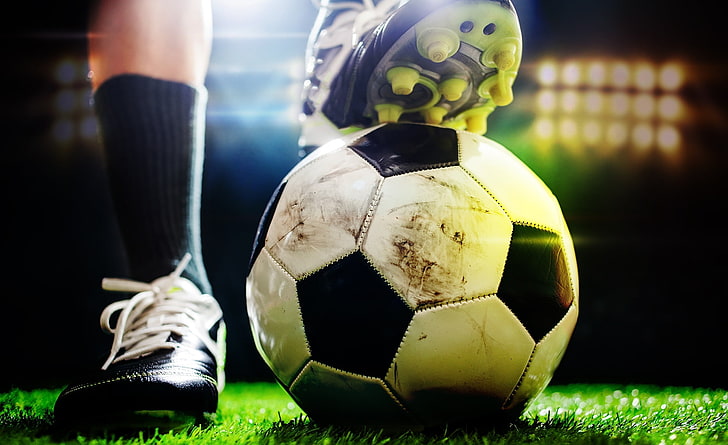 开元体育官网版室内少儿简化五禽戏健身功